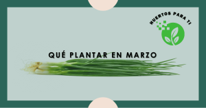 que-plantar-en-marzo