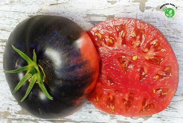 tomate-azul-interior-huertosparati