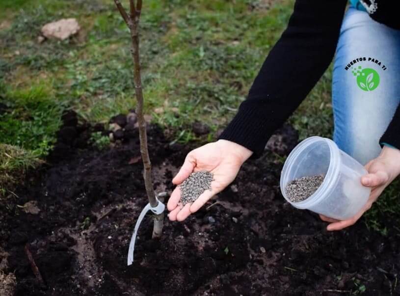 mejor-fertilizante-arboles-frutales-huertosparati